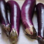 Asian eggplant